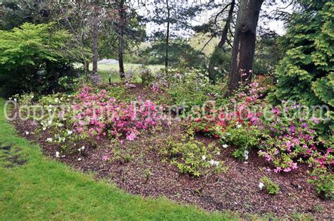 Westcroft Gardens - USA - Gardens, Parks, Squares and Open Spaces - Presented by PlantsGalore.Com