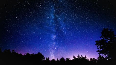 Silhouette of trees under clear sky at nighttime, space, stars, nebula, galaxy HD wallpaper ...