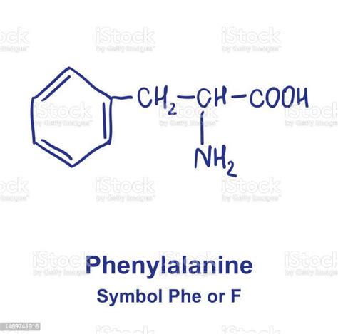 Phenylalanine Chemical Structure Vector Illustration Hand Drawn Stock Illustration - Download ...