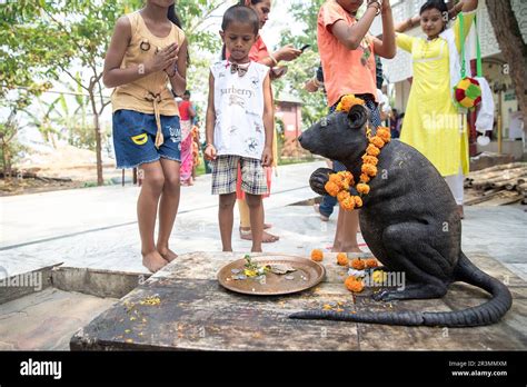 Worshipers surrounding Religious statue of a rat in Umananda Temple on Umananda island on ...