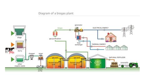 Biogas Plant