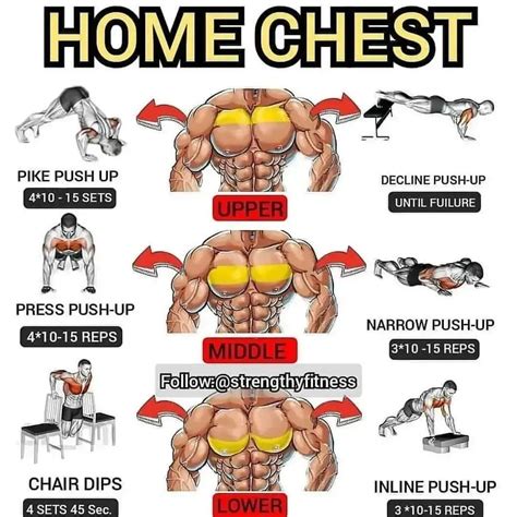 Home Chest Workout: Pump up Your Pecs with Our Eight-week Training Plan in 2022 | Chest workout ...