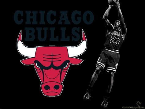 Amazing | Michael jordan chicago bulls, Jordan bulls, Chicago bulls