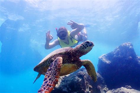 Snorkeling Tours While In Hawaii | Hawaii Real Nature Tours