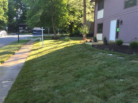 Sod Installation: Before and After | Northern Virginia Landscaping