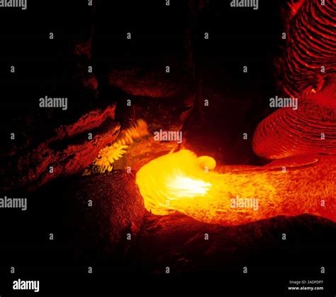 Pahoehoe lava. Pahoehoe lava flow from Kilauea Volcano, Hawaii, USA, at night. This thick ropy ...