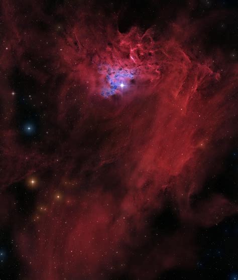 The Flaming Star nebula : r/Astronomy