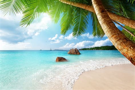 Paradise ocean tropical blue palm beach coast sea emerald, Relaxing ...