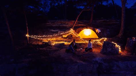 Six Camping Tents in Forest · Free Stock Photo