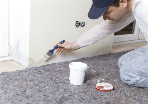 Here’s Why Painting Over Mold is Never a Good Idea