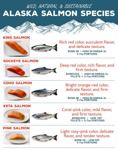 The Five Wild Alaskan Salmon Species – Wild For Salmon