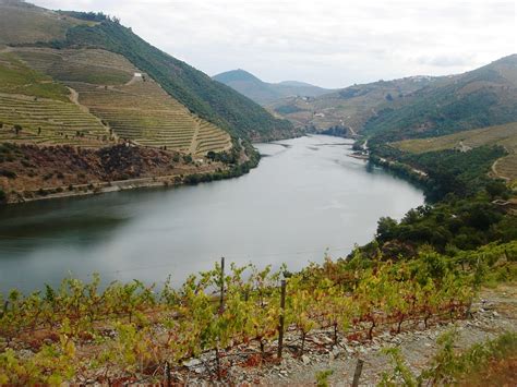 Rio Douro Vinhas Paisagem · Foto gratuita no Pixabay