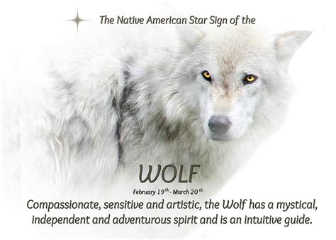 Native American Star Sign the Wolf Pisces Photograph by Stephanie Laird