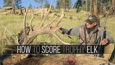 How To Score Your Bull Elk - Eastmans' Official Blog | Mule Deer ...