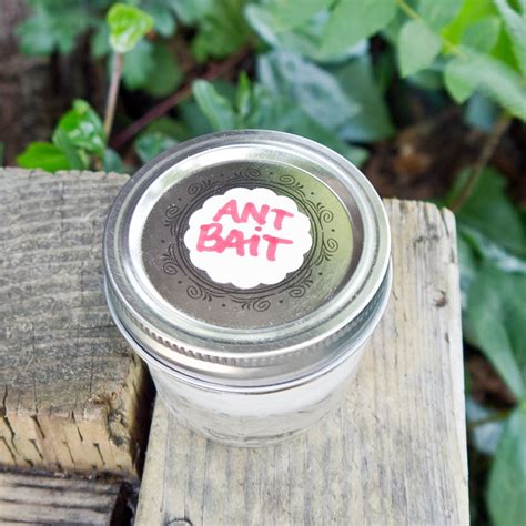 DIY Ant Bait | POPSUGAR Smart Living