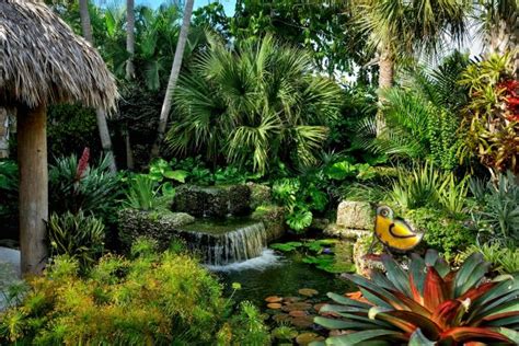 Tropical Landscaping Design Ideas | HGTV