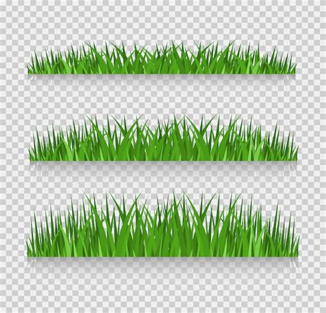 Premium Vector | Grass borders set, vector illustration