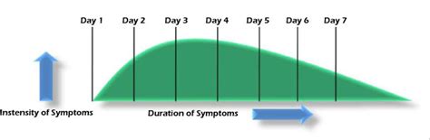 Opium Withdrawal Timeline