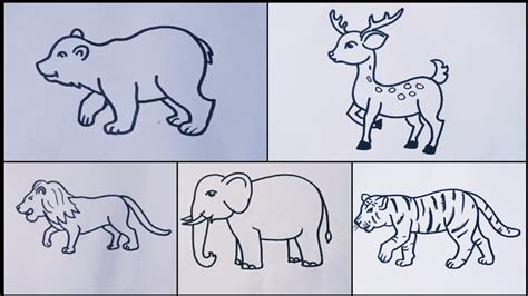 Drawings Of Wild Animals