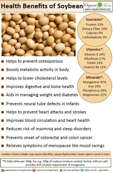 Organic Facts - Legumes - SOYBEAN Soybean Benefits, Health Benefits, Fruit Benefits, Health ...