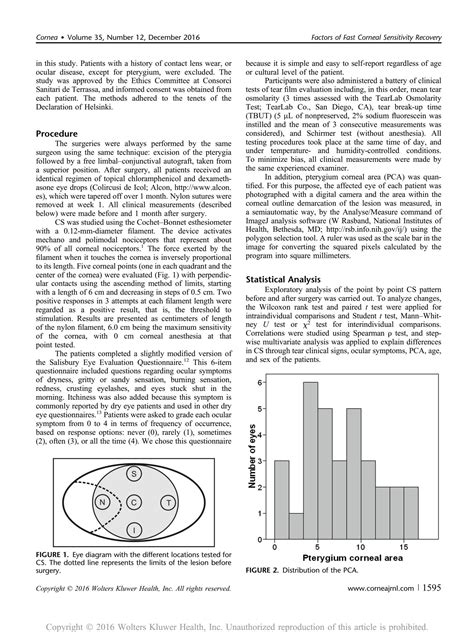 SOLUTION: Determining factors for fast corneal sensitivity recovery ...