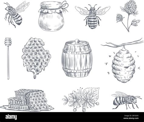 Share 151+ clip art honey bee drawing latest - seven.edu.vn