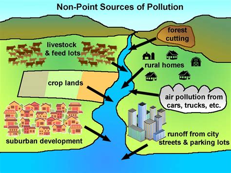 Point Source Pollution Examples Diagram