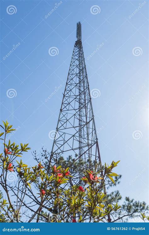 Analog Television Antenna Transmitter Stock Photo - Image of television ...