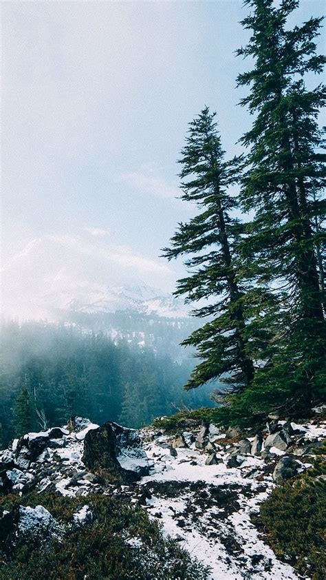 16 Adventurous Forest & Mountain iPhone 7 Wallpapers | Preppy ...