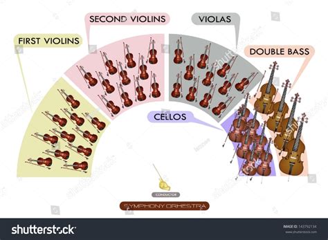 Illustration Collection Of Different Sections Of String Instrument For Symphony Orchestra Layout ...