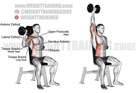 Shoulder Press With Dumbbells Vs. Barbell For The Best Way To Build Shoulders At Home Safely ...