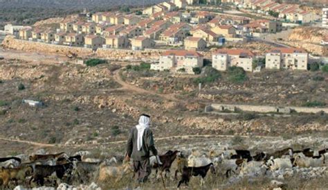 Re-engineer the Israeli-Palestinian landscape? | BLiTZ