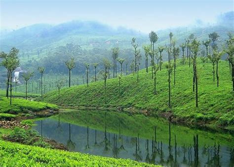 tour malabar: VALPARAI, TAMIL NADU