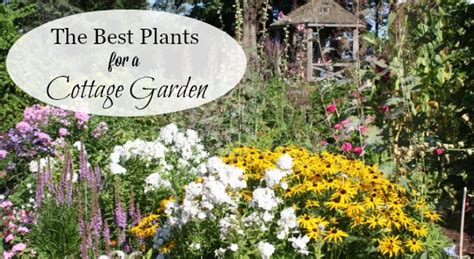 A List of Cottage Garden Plants; The Ultimate Guide