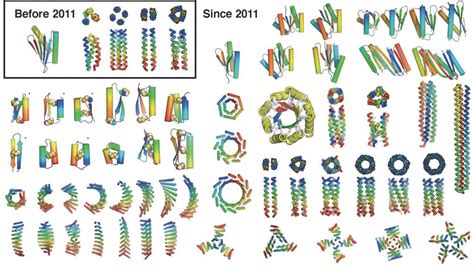 The coming of age of de novo protein design - Baker Lab