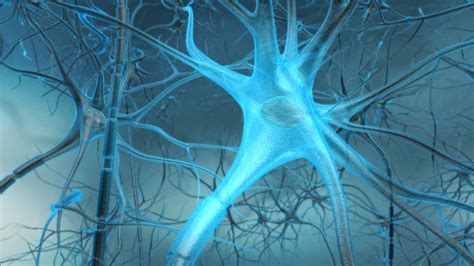 Neuron - 3D Animation and Illustration | HMA - HMA