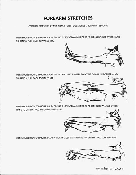 Best 25+ Forearm stretches ideas on Pinterest | Wrist stretches, Forearm stand and Wrist pain