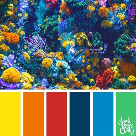 Coral reef color inspiration // Take a dive under the sea with these color combinations inspired ...