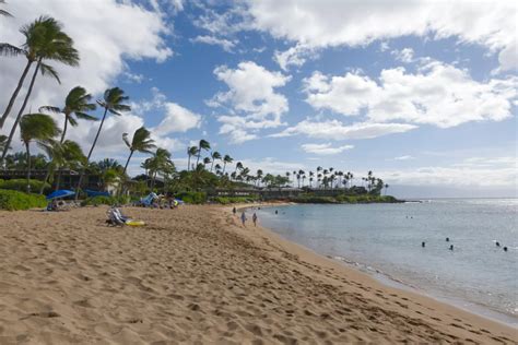 Napili Bay Snorkeling Guide - Maui Hideaway