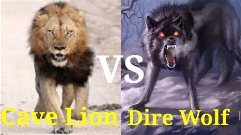 Prehistory animal fight (North American lion VS Dire wolf) who will win - YouTube