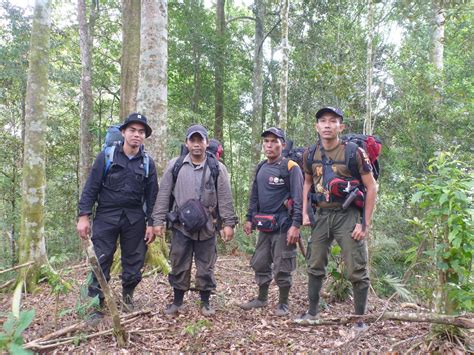 Sumatran Orang-utan Conservation in Gunung Leuser National Park and ...