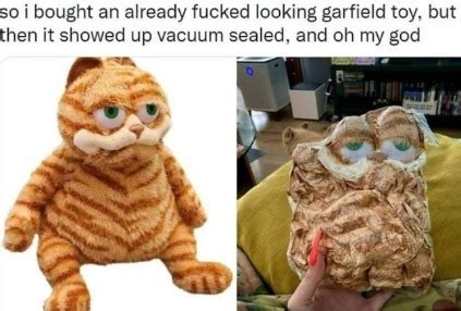 The best Garfield memes :) Memedroid