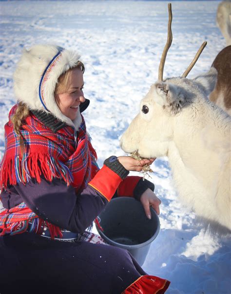 Explore Sami Culture and Get Close to Reindeer | Go Fjords