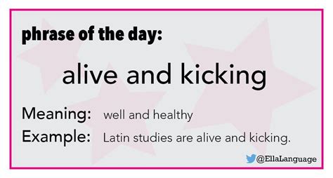 Phrase: alive and kicking English Idioms, English Lessons, Learn ...