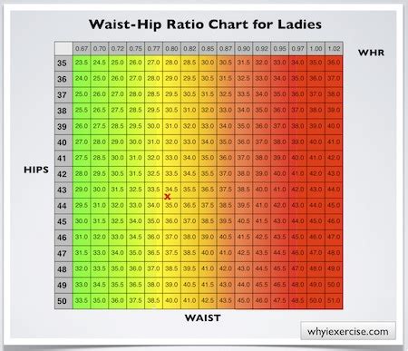 Waist hip ratio: Simple measurements. Valuable health info.