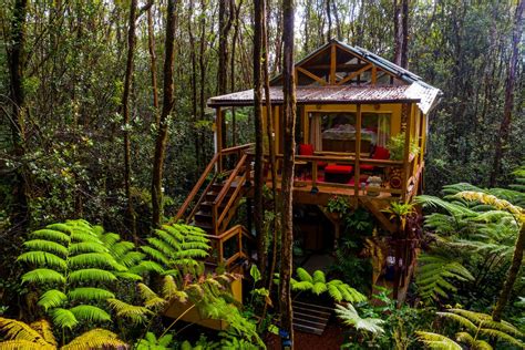 Escape Into The Rainforest When You Stay At This Charming Hawaii Treehouse