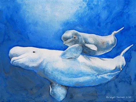 My painting of Beluga Whales :) #whale #beluga #belugawhale #painting # ...