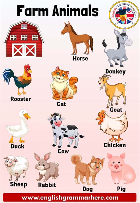 Farm Animals Names, Definition and Examples - English Grammar Here