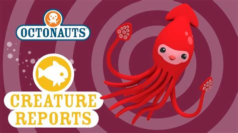 Octonauts: Creature Report - Giant Squid - Brown Bag Labs