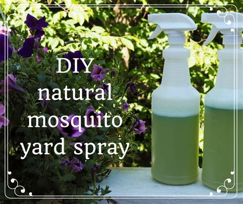 How to Make Homemade Organic Mosquito Yard Spray - HubPages